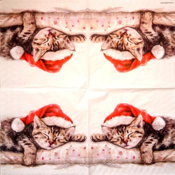 KAT-959 Katzen - 3-lagig - Ambiente
